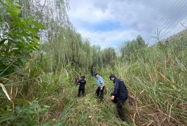 老人失联四天三夜民警帮寻回 芦苇荡中的奇迹