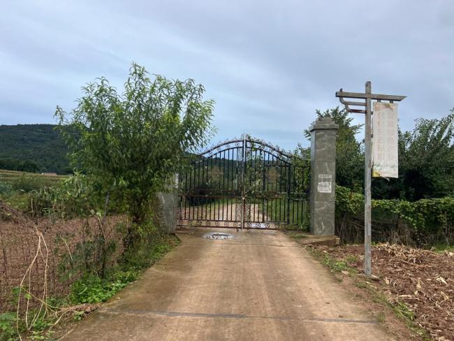 主播“唐飞机”是当地驻村干部 飞行直播时不幸坠机身亡