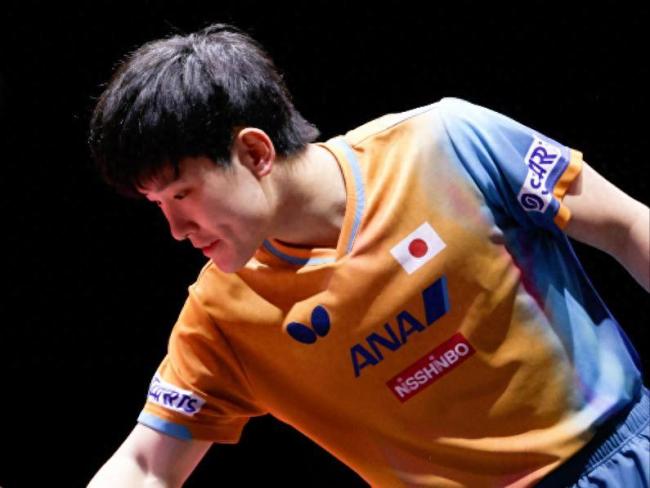 国乒05后新星送张本智和一轮游