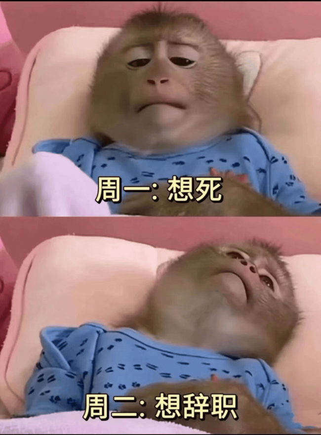 像周二又像周四的周一！