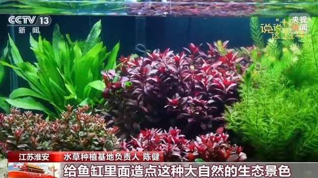 中国人的幸福密码藏在这些日常里 点滴变化见证时代新图景
