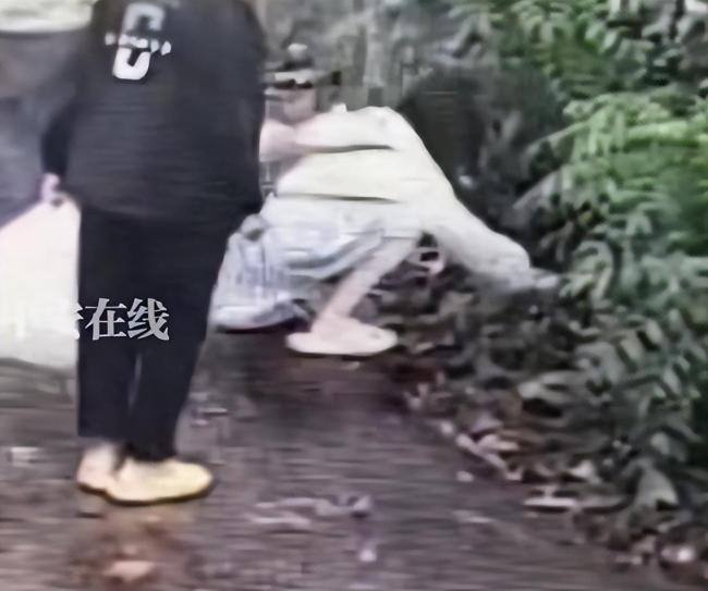 媒体：捡板栗被诬偷盗 景区有责任 信任危机引发热议