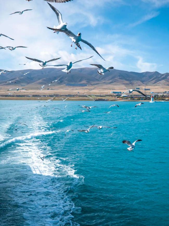 再賞一次大江南北的中秋月 青海湖畔共團(tuán)圓