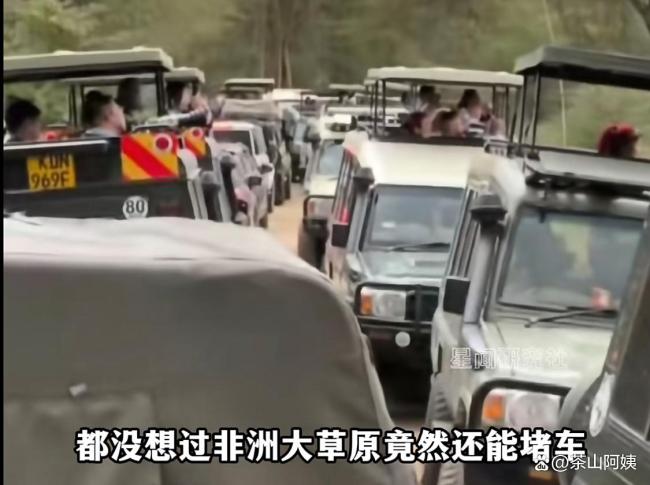 中国人放假 东非大草原都堵车了 全球共庆黄金周
