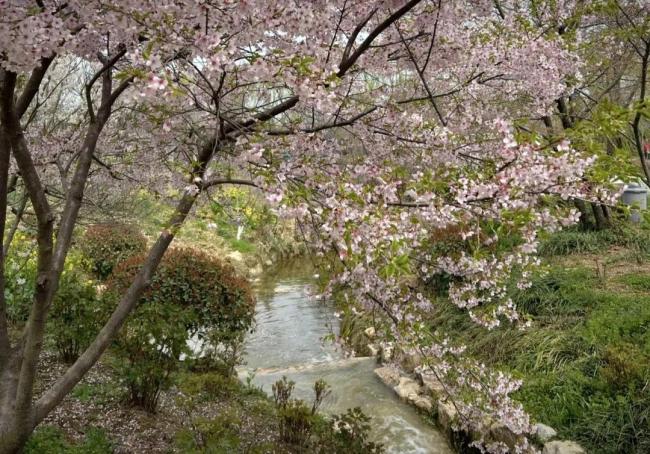 新线开通，凭高铁票享景区优惠！