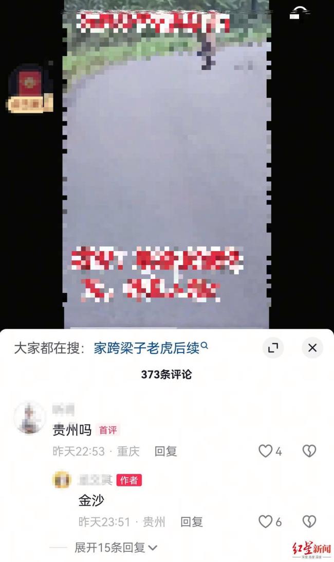 贵州金沙路边有老虎出没系谣言