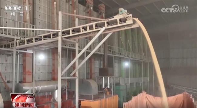 各地负重致远作念好抢收抢烘使命 确保秋粮应收尽收