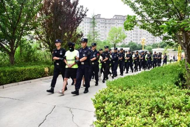 网警斩断侵公黑色产业链