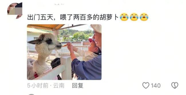 假期动物园内动物已吃出