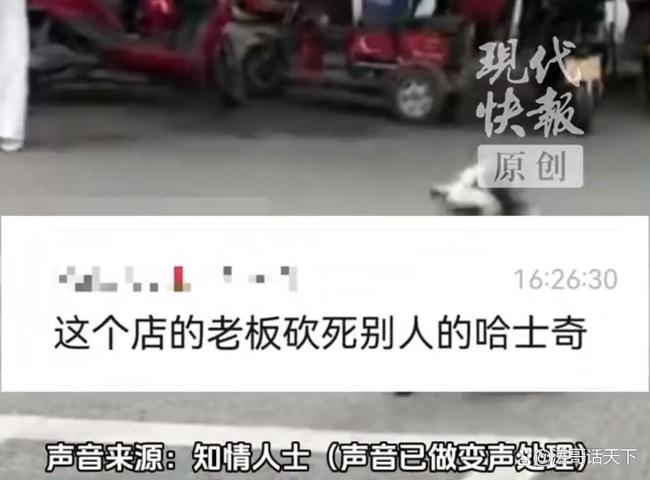 官方还原店主用刀具砍伤犬只过程
