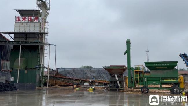 山东各地打响秋粮“脱水战” 烘干服务助农护粮