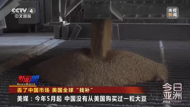 美豆滞销陷绝境,国人献策种大麻！