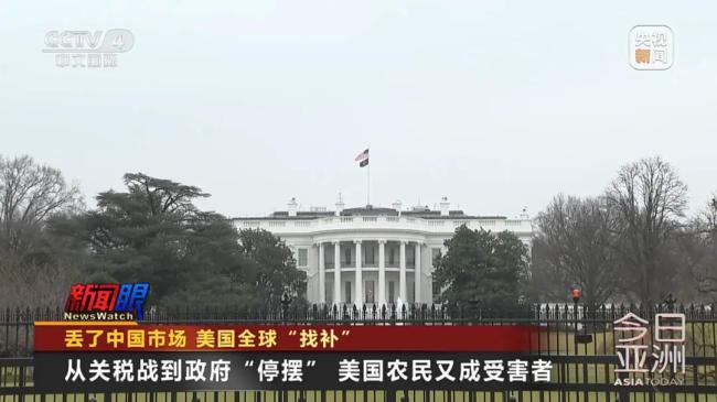 美豆滞销陷绝境,国人献策种大麻！