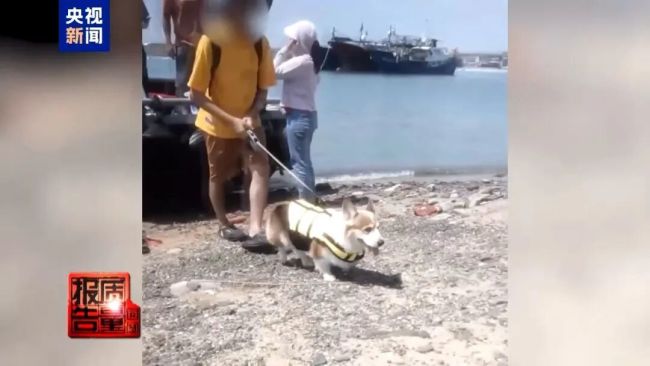 手機(jī)掃碼安裝mk體育