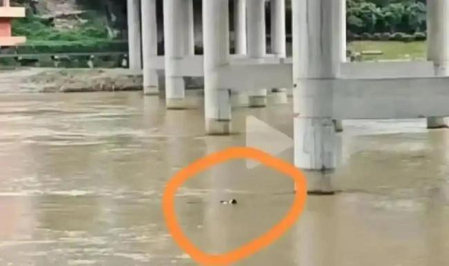 媒体谈新郎跳河事件:缺失视角须追问 婚礼当天的委屈