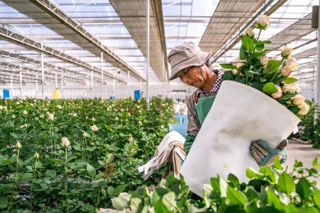 時(shí)政微觀察丨非凡“十四五”，民生答卷有厚度更有溫度