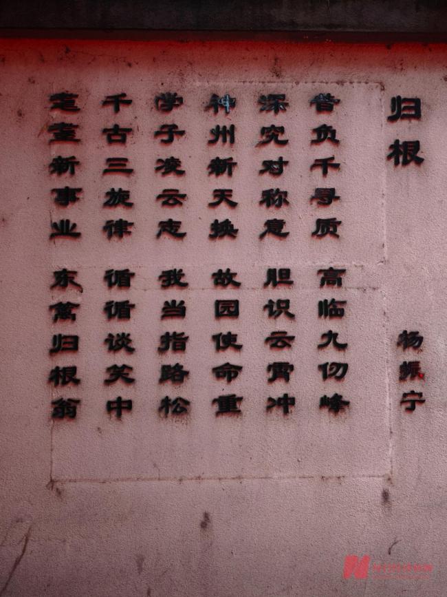 清华学生：杨振宁成就已超越诺尔贝奖 科学巨匠陨落