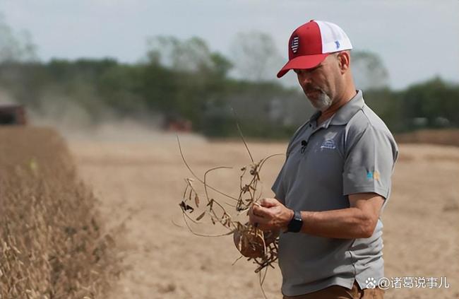 今年美国农民会赔钱吗 贸易战下的大豆危机