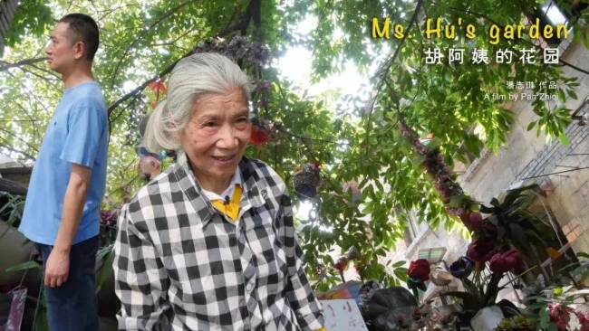 胡阿姨的花园倒计时3天上映