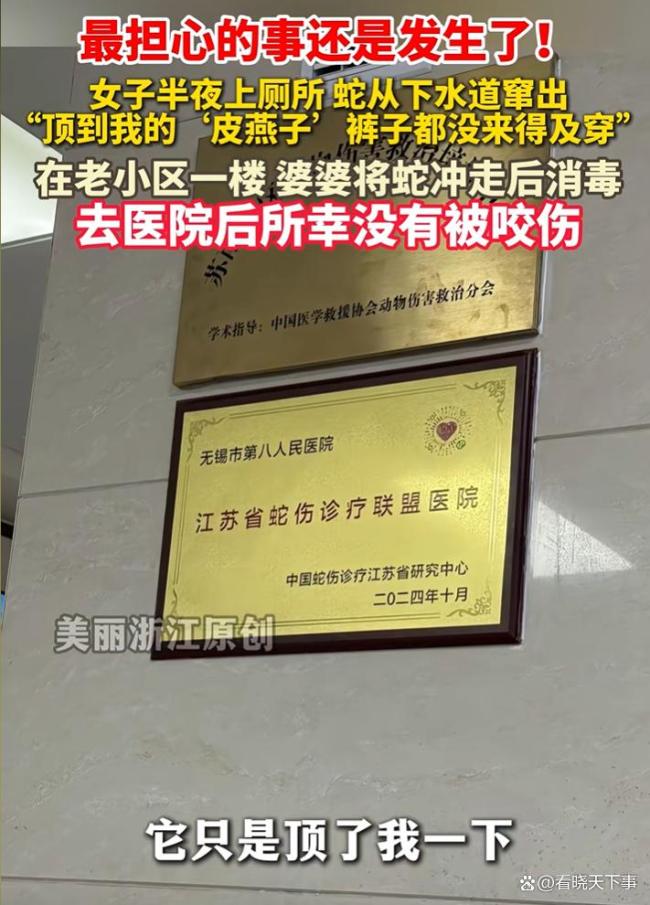 女子半夜上厕所被一条蛇顶到屁股 老小区马桶惊现不速之客