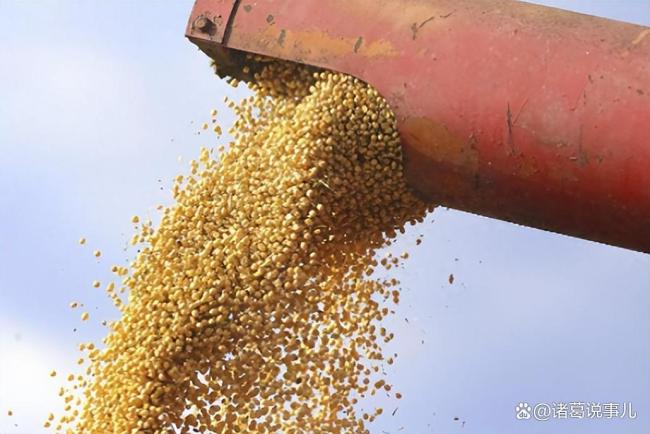 今年美国农民会赔钱吗 贸易战下的大豆危机