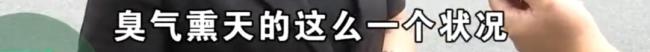 男子收养数十条流浪狗邻居苦不堪言 旧改期间矛盾升级