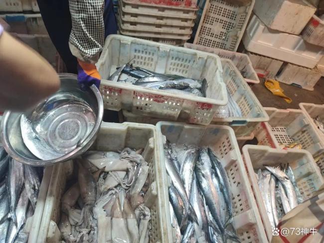 农历九月第一天，牢记：1不洗2不办 为入冬做准备