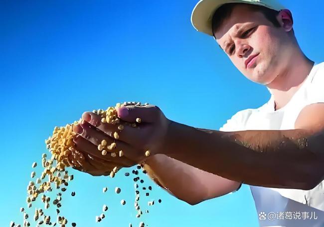 今年美国农民会赔钱吗 贸易战下的大豆危机