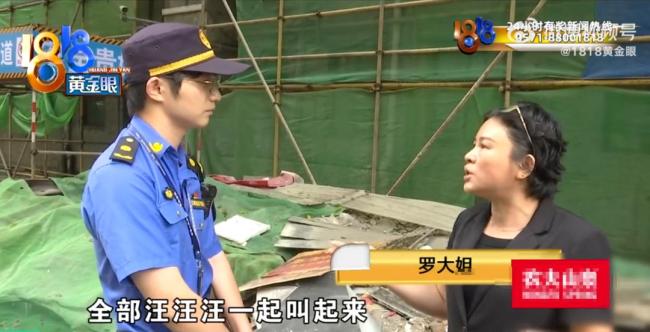 男子收养数十条流浪狗邻居苦不堪言 旧改期间矛盾升级