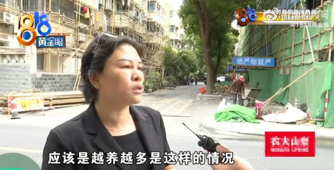 退休大爷把房子让给40条狗住 善举引发邻里争议