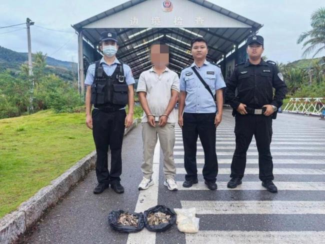 男人从境外购回两公斤穿山甲鳞片及成品,被云南澜沧警方查获