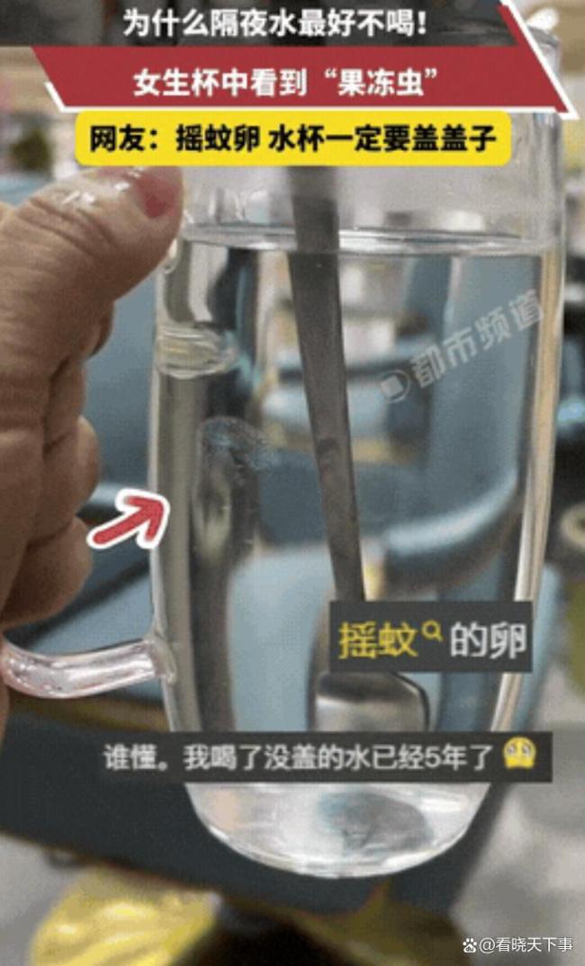 女子早起喝隔夜水发现疑似虫卵物 警惕隔夜水隐患
