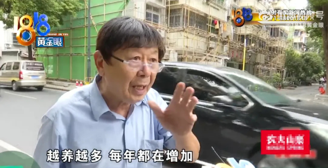 大爷把房子让给40多条狗住 养狗为善事！