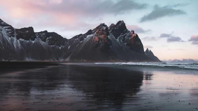 冰島首次發(fā)現(xiàn)蚊子！蚊子或通過跨國(guó)運(yùn)輸被帶入