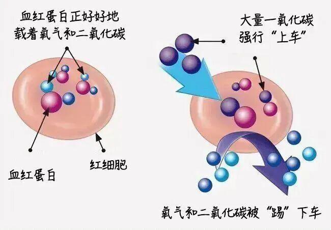 断崖式降温带“火”杭产冬装 取暖需防一氧化碳中毒
