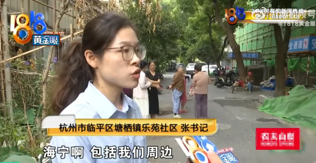 大爷把房子让给40多条狗住 养狗为善事！