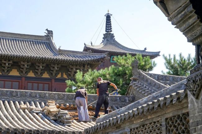 北方古城潮到发绿多少人急坏了 访古要趁早