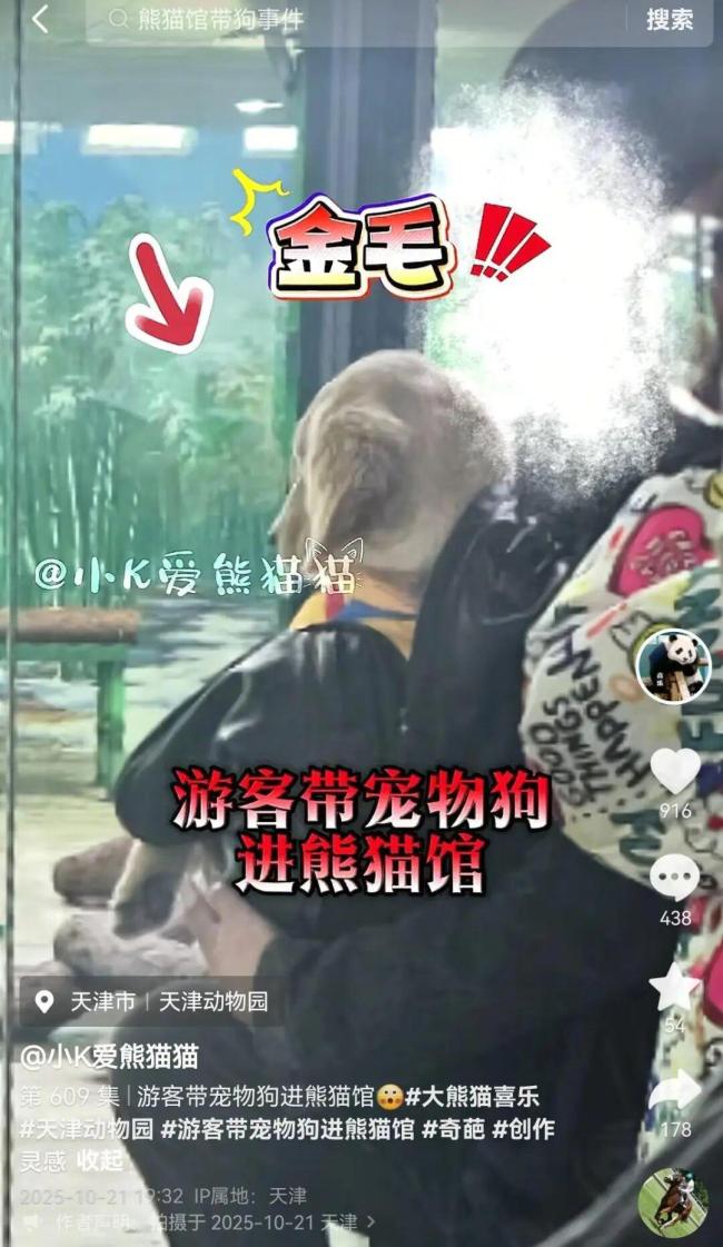 游客帶狗進動物園看熊貓被勸離 園方強調(diào)禁止攜寵入園