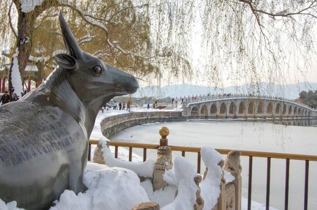 今冬會更冷嗎?國家氣候中心回應 拉尼娜影響初現(xiàn)