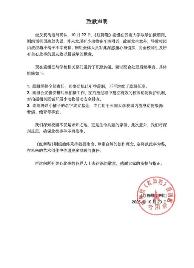 撞红鞋那排猫的司机辞职了。他非常悲伤和内疚