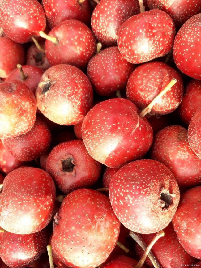 胃里竟长出“鸭蛋”!女子连吃20颗山楂查出胃石症