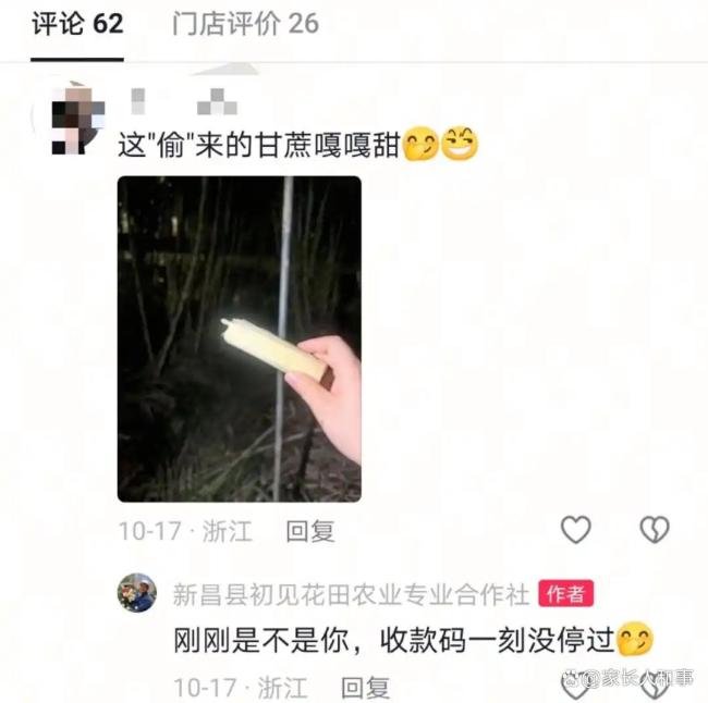 可偷甘蔗地成打卡点 网友深夜体验 付费越界狂欢