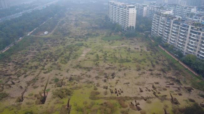 西安连日阴雨市民称古墓变森林 雨水催生草木茂盛