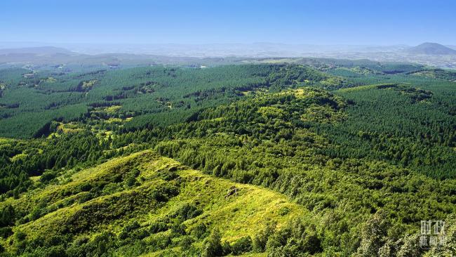 時(shí)政新聞眼丨未來五年怎么干？黨的二十屆四中全會(huì)擘畫發(fā)展藍(lán)圖