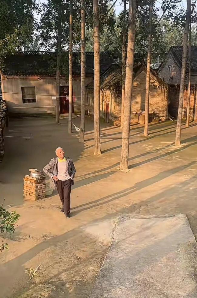 河南一大爷院子太干净成打卡地 像小时候的家