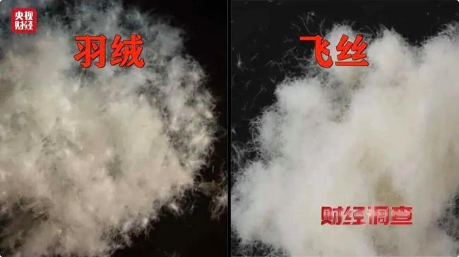 买羽绒服要小心哪些陷阱 警惕“生态绒”等噱头