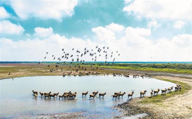 关注“十五五”这些新提法新举措
