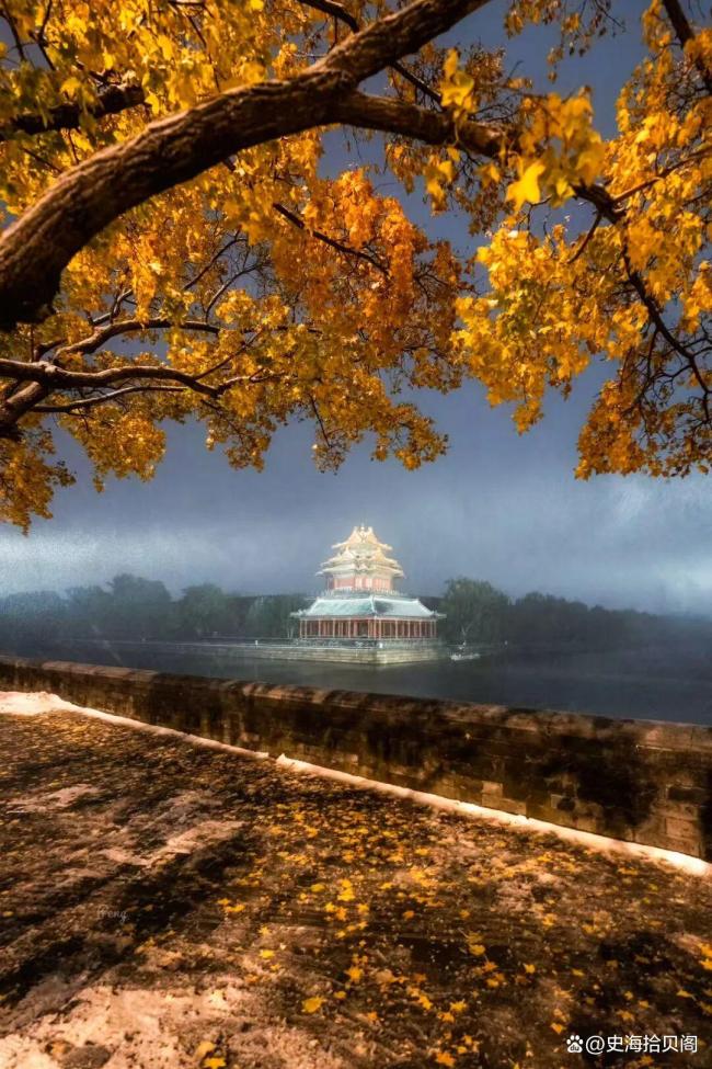 北京降溫快速入冬 忽如一夜冷風(fēng)來