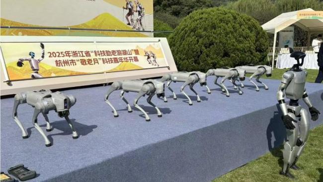 老人需要什么样的养老机器人