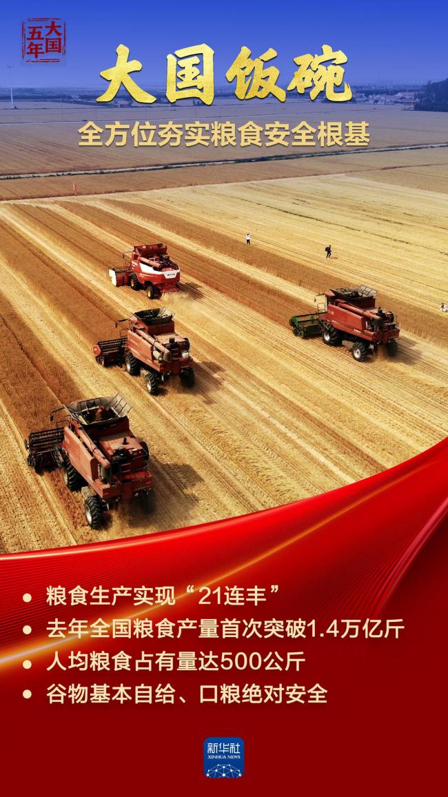 大国饭碗 吃得好端得牢